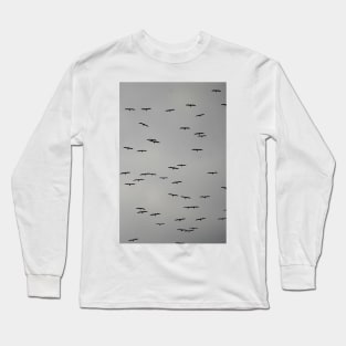 Birds in Flight on a Cloudy Day Long Sleeve T-Shirt